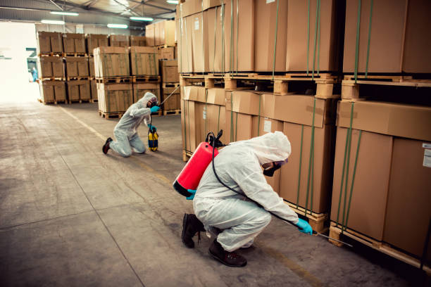Best Bed Bug Extermination  in Bradner, OH