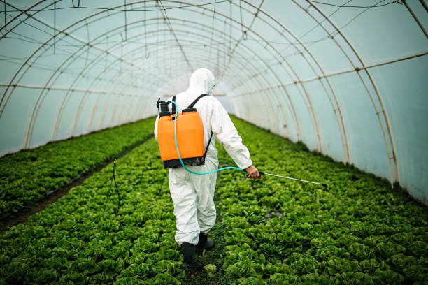 Best Residential Pest Control  in Bradner, OH