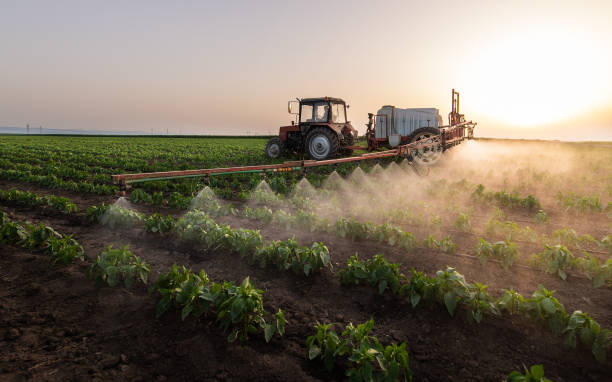 Best Pest Removal Services  in Bradner, OH