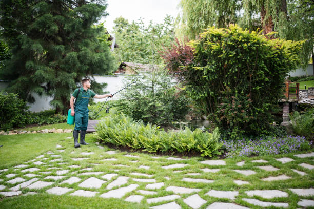 Best Affordable Pest Control Services  in Bradner, OH