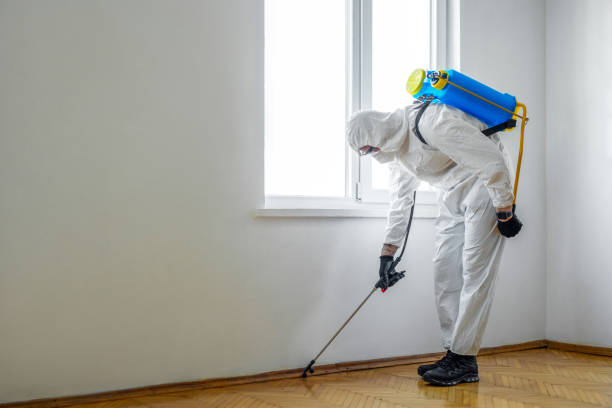 Best Pest Prevention Services  in Bradner, OH