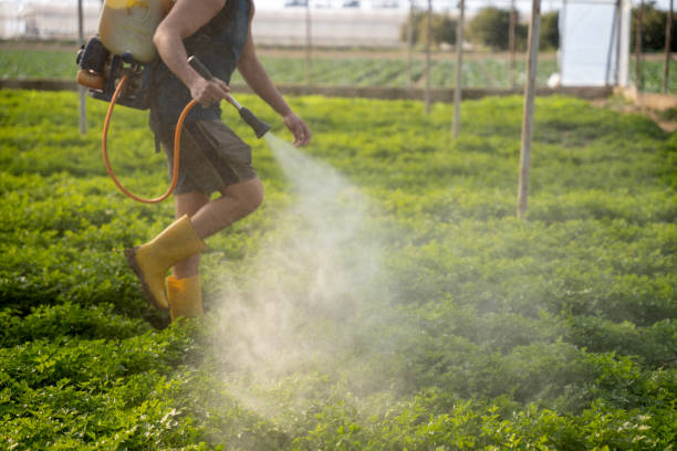 Best Mosquito Control Services  in Bradner, OH