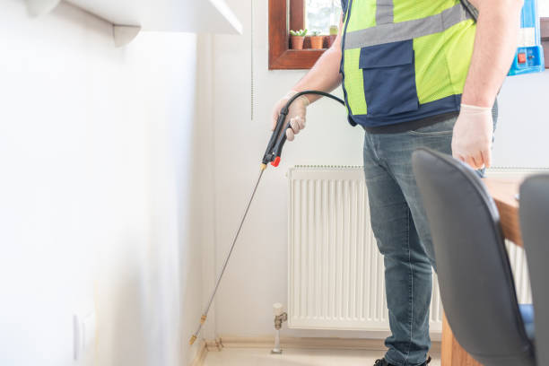 Best Termite Control Services  in Bradner, OH