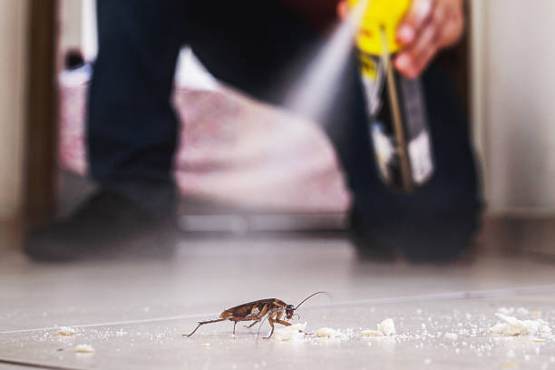 Best Pest Inspection Near Me  in Bradner, OH