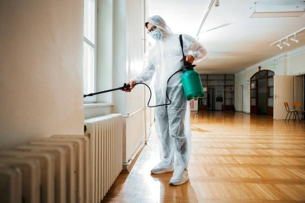 Best Wasp Removal Services  in Bradner, OH