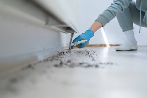 Best Exterminator Services  in Bradner, OH